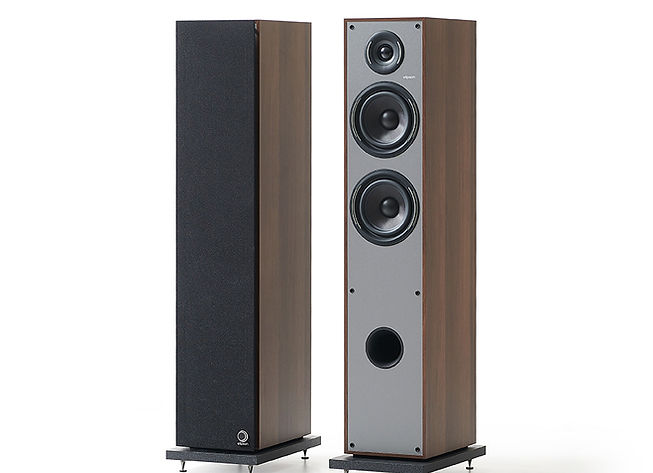 HORUS 11F Walnut Dark Gray