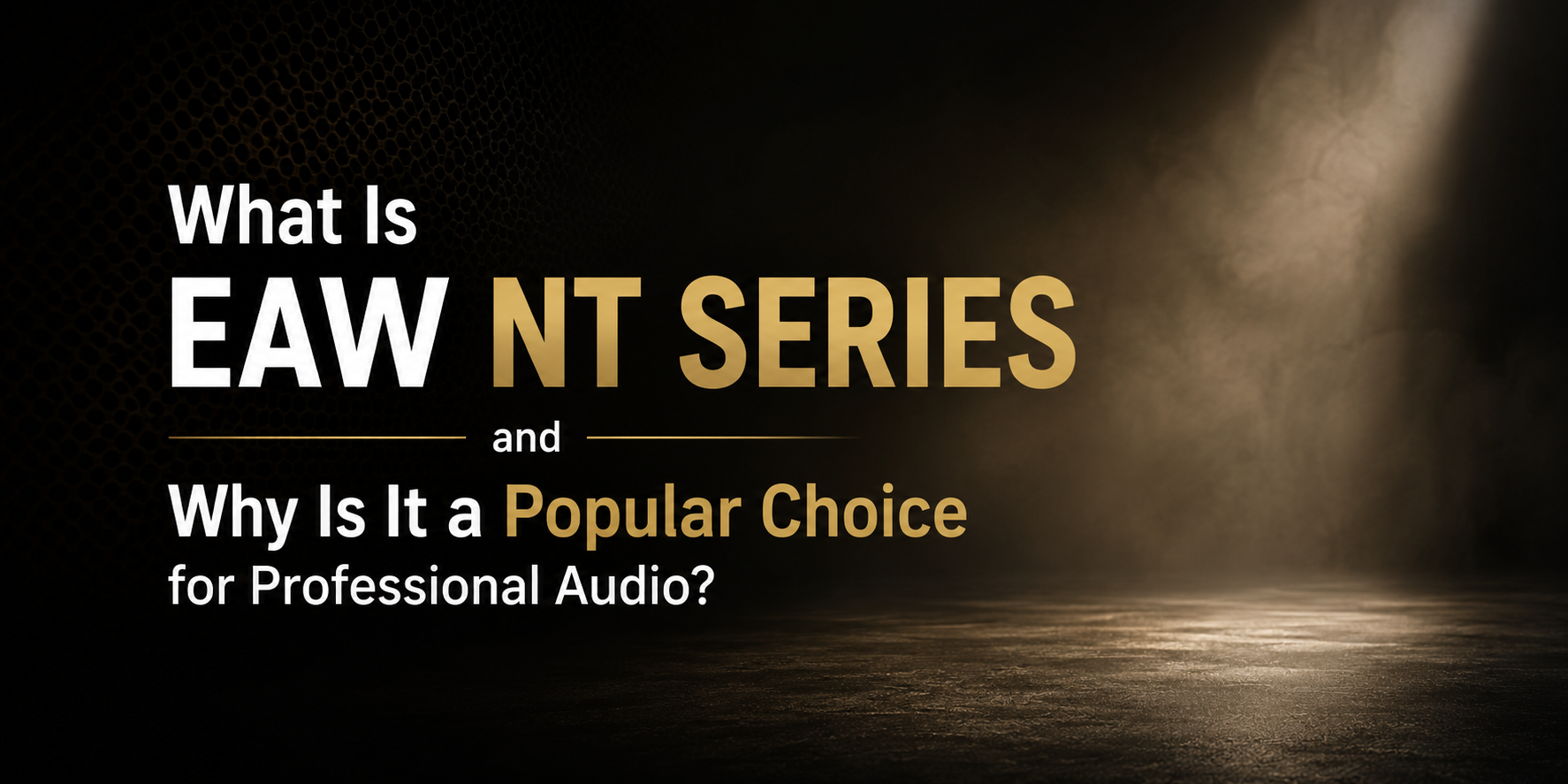 What Is EAW NT Series and Why Is It a Popular Choice for Professional Audio?
